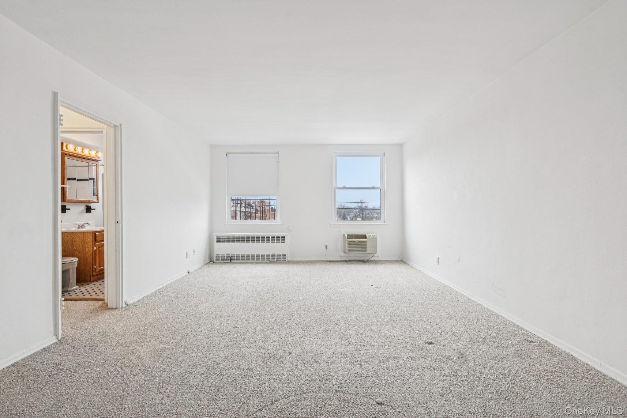 Coop Horton  Nassau County, NY 11501, MLS-963391-16