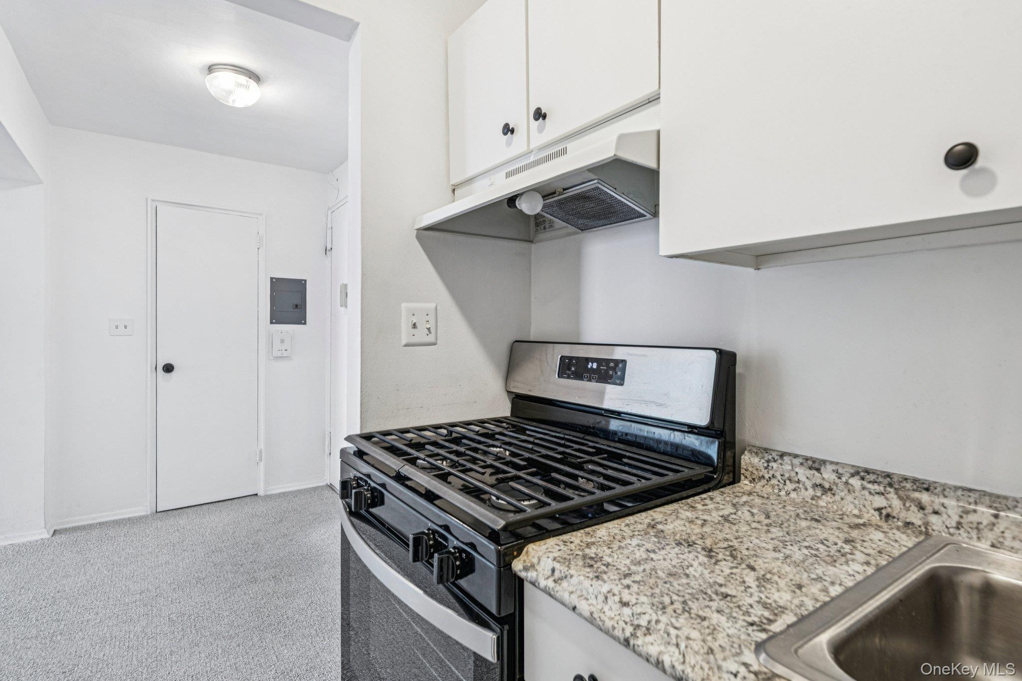 Coop Horton  Nassau County, NY 11501, MLS-963391-8