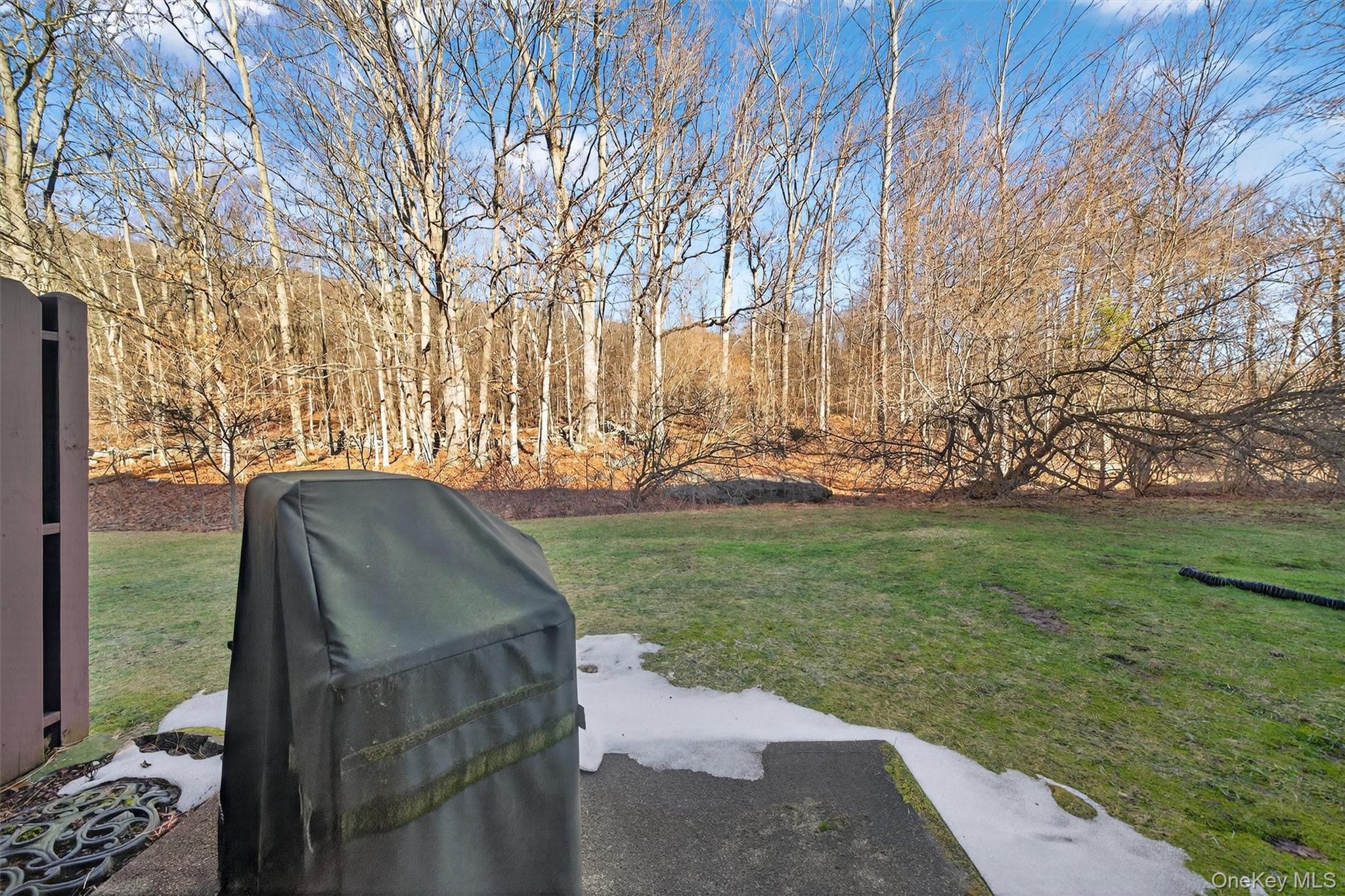 Condo Eagleton  Orange County, NY 10950, MLS-963575-12