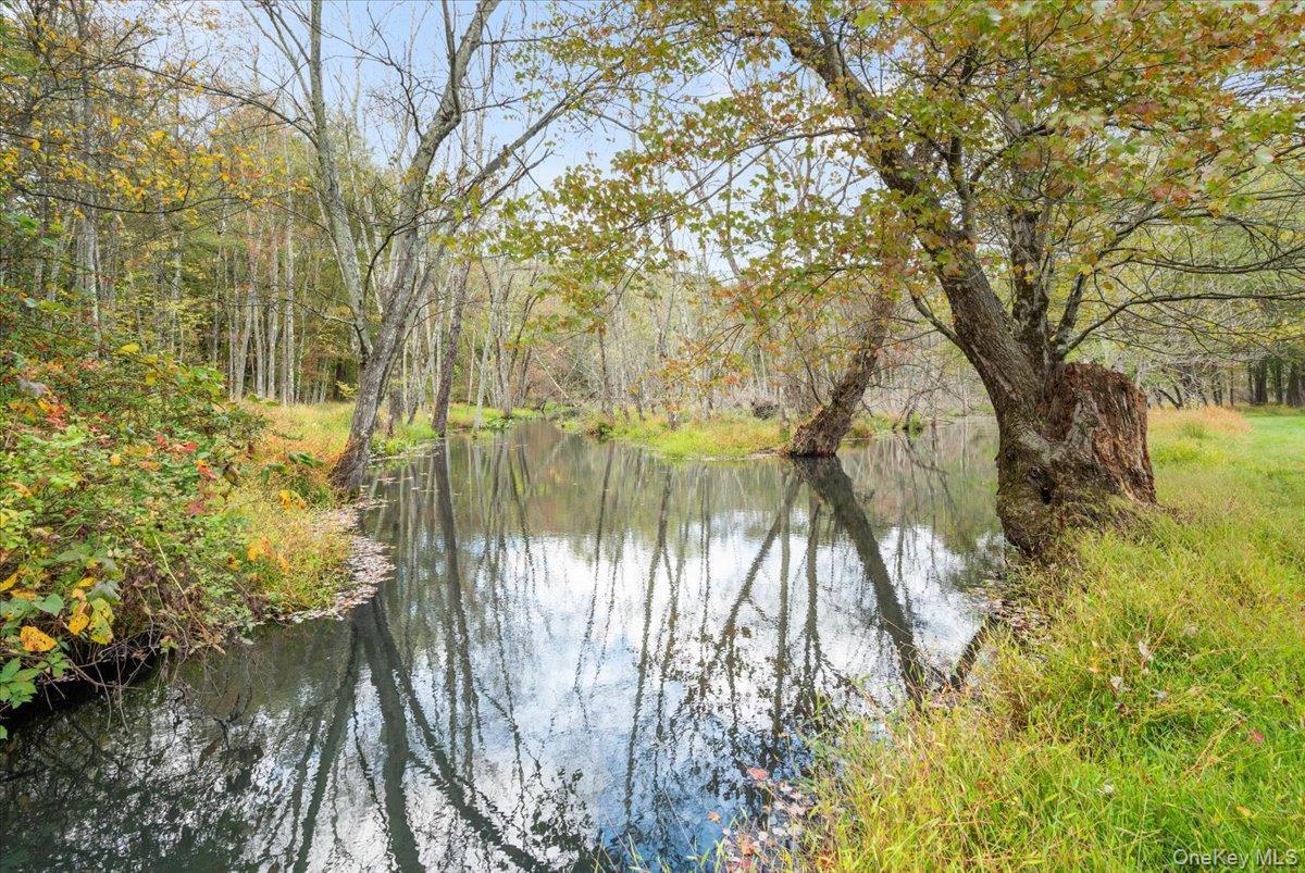 Single Family Van Avenue Orange County, NY 12771, MLS-963602-30