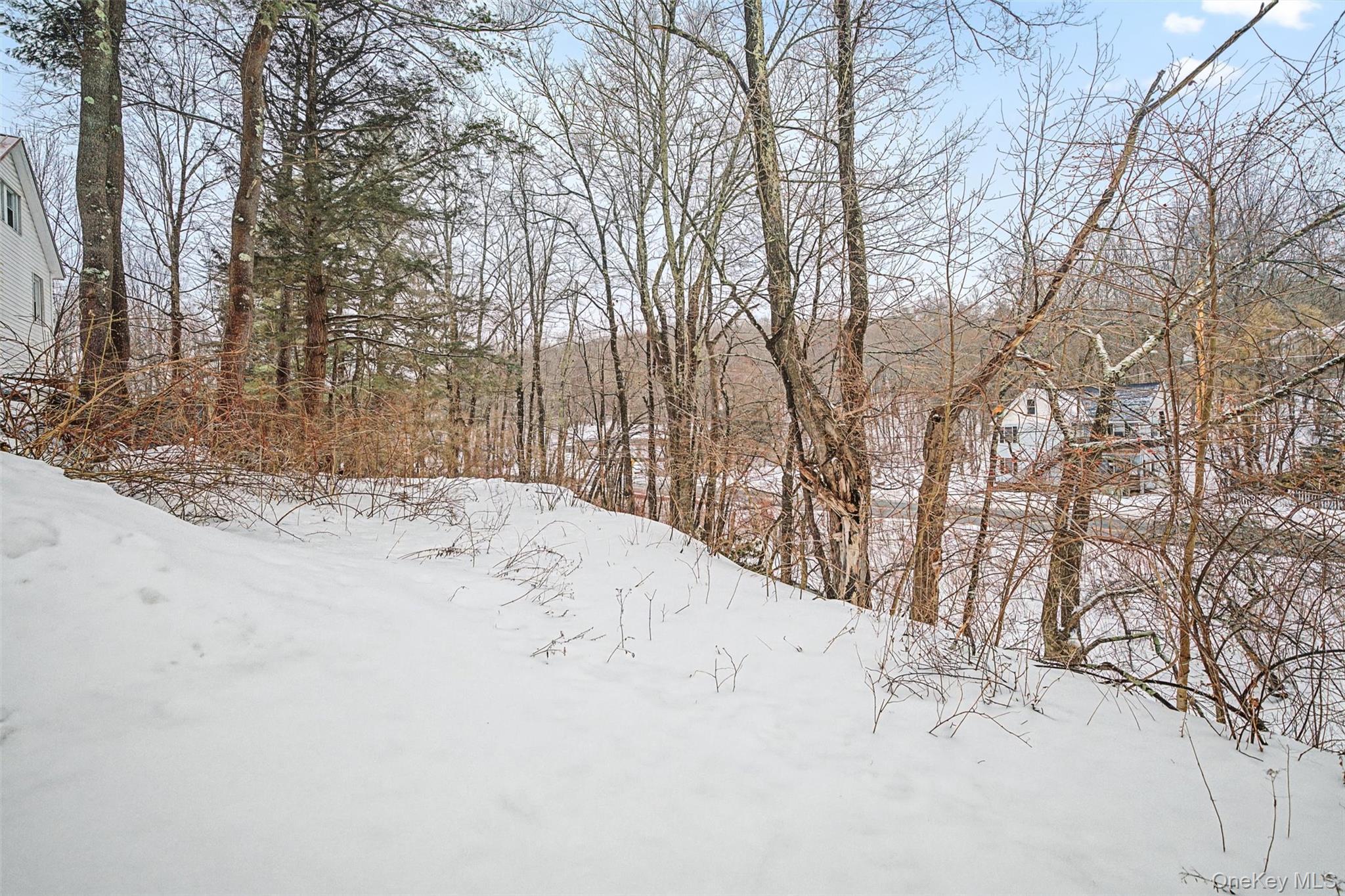 Single Family Station Hill  Sullivan County, NY 12734, MLS-963653-20
