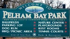 Single Family Pilgrim  Bronx, NY 10461, MLS-963746-19