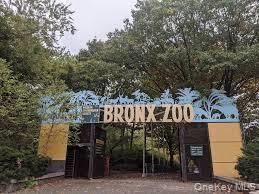 Single Family Pilgrim  Bronx, NY 10461, MLS-963746-20