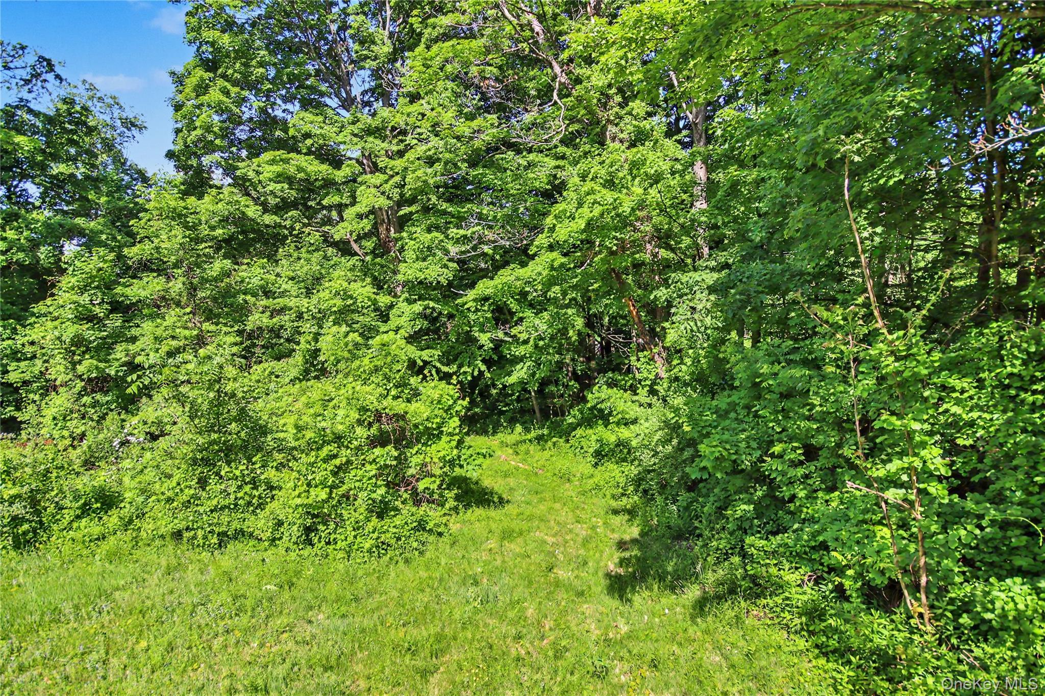 Single Family Lookout Pass Dutchess County, NY 12582, MLS-963759-40