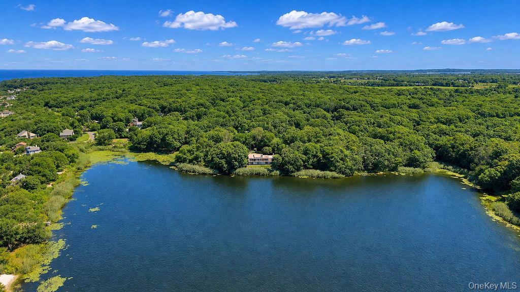 Single Family Soundview Avenue Suffolk County, NY 11971, MLS-963793-21