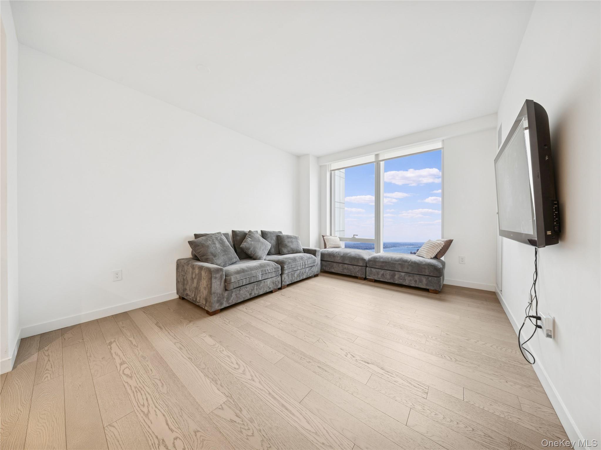 Condo South  Manhattan, NY 10002, MLS-963817-3