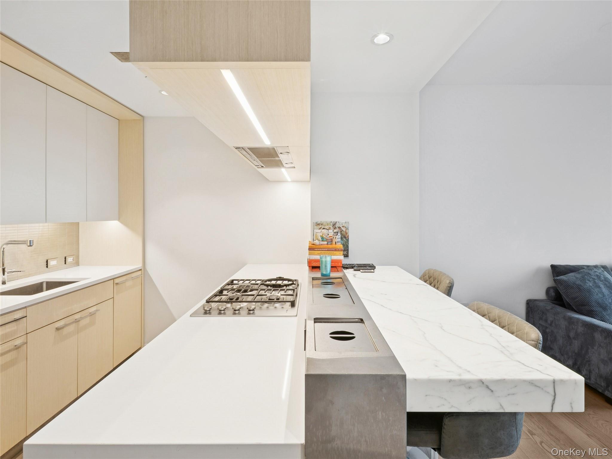 Condo South  Manhattan, NY 10002, MLS-963817-5