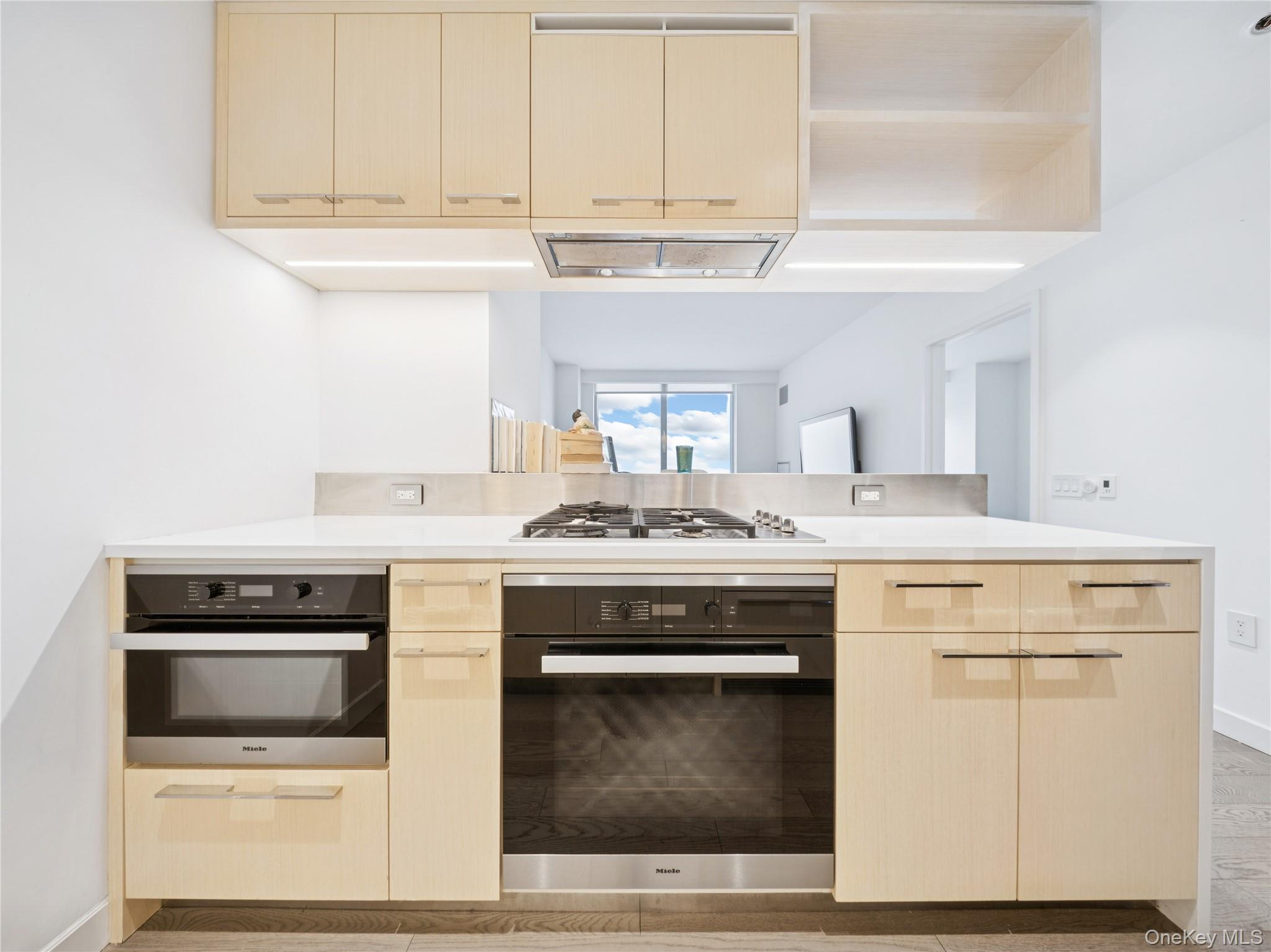 Condo South  Manhattan, NY 10002, MLS-963817-8