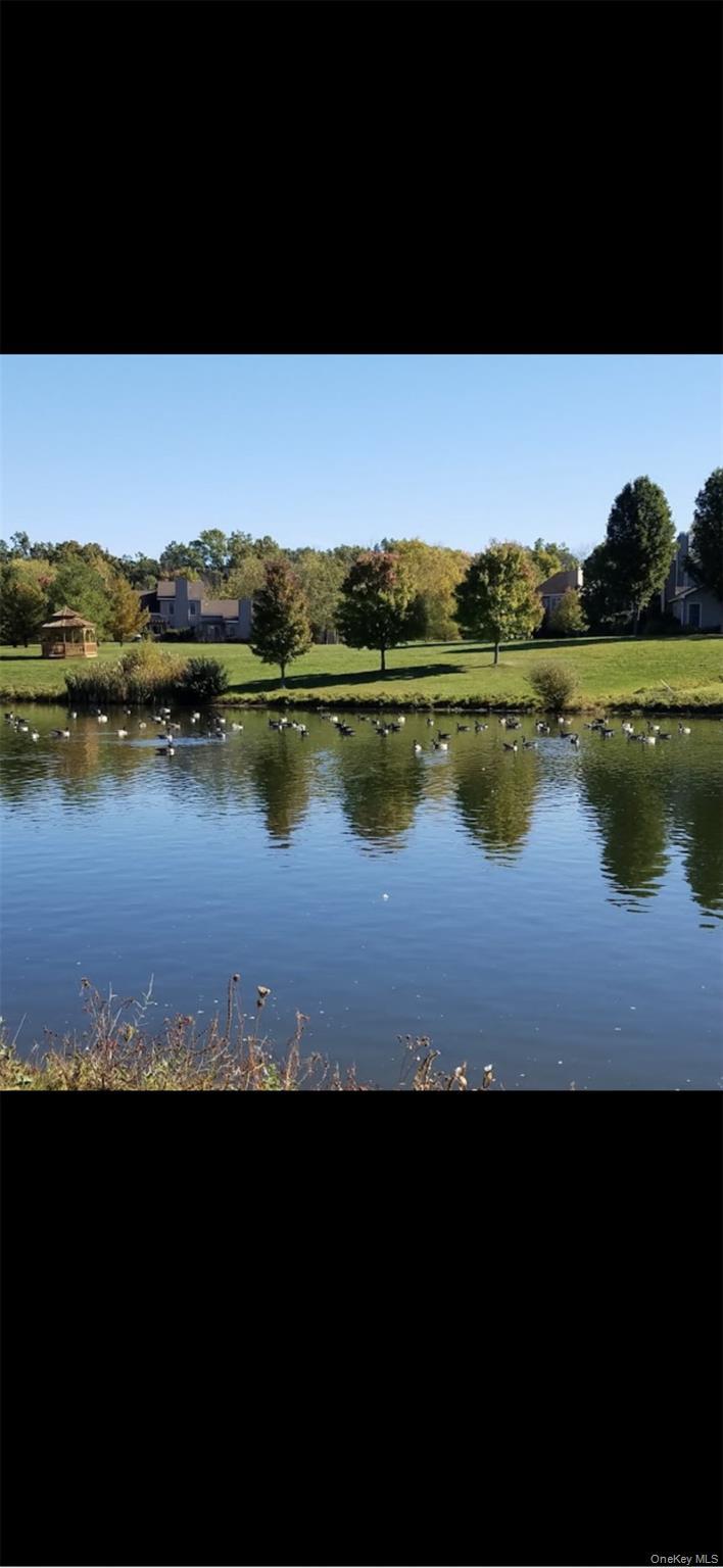 Condo Gardenia  Dutchess County, NY 12572, MLS-963941-41