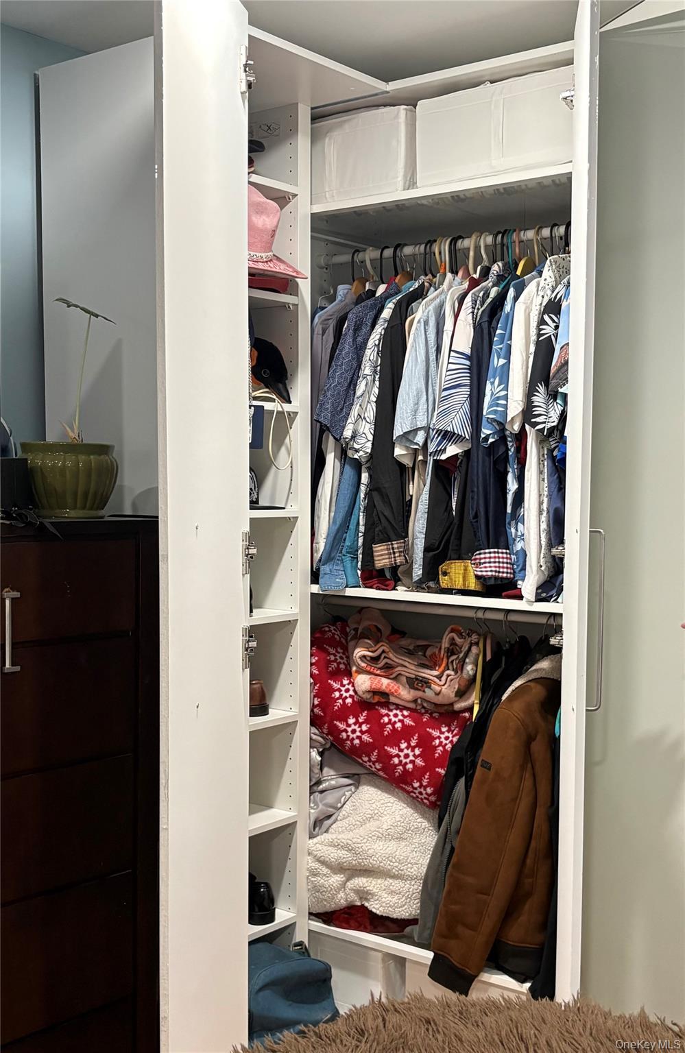 Single Family 110th  Queens, NY 11429, MLS-963956-9