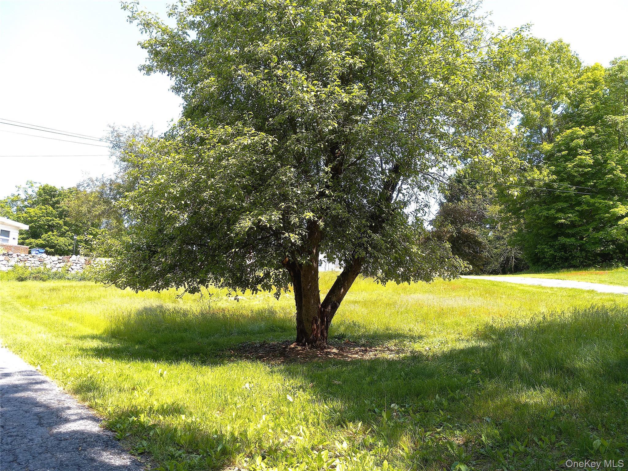 Single Family Hobbs Dutchess County, NY 12514, MLS-963966-3