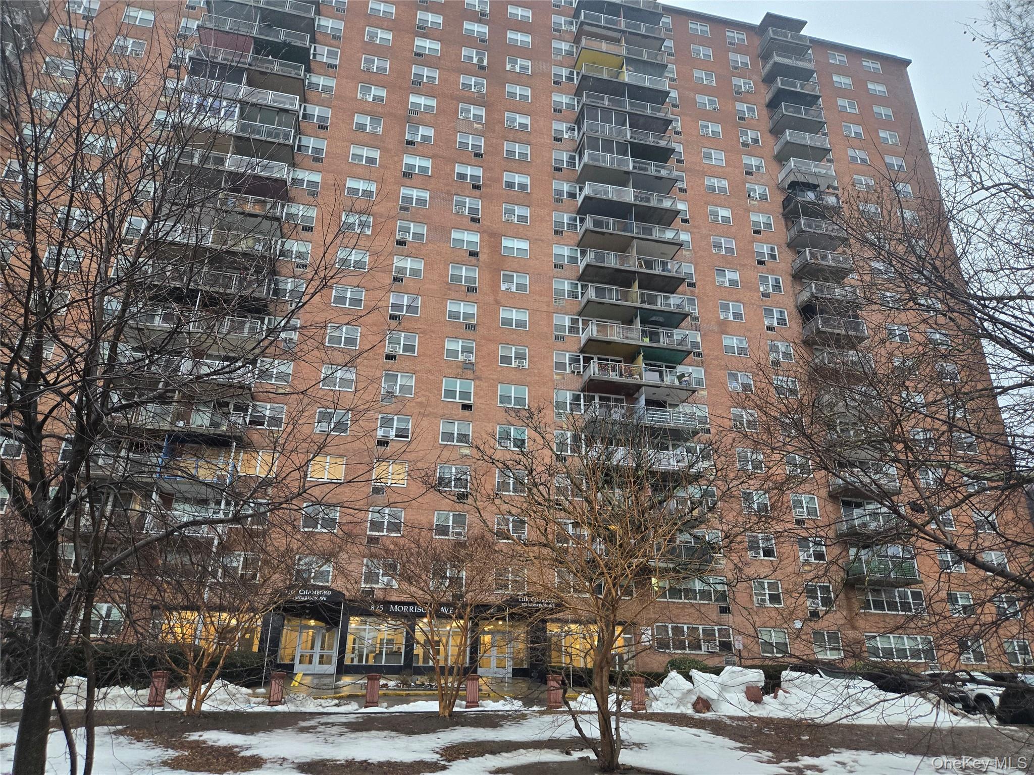 Coop Morrison  Bronx, NY 10473, MLS-964147-14