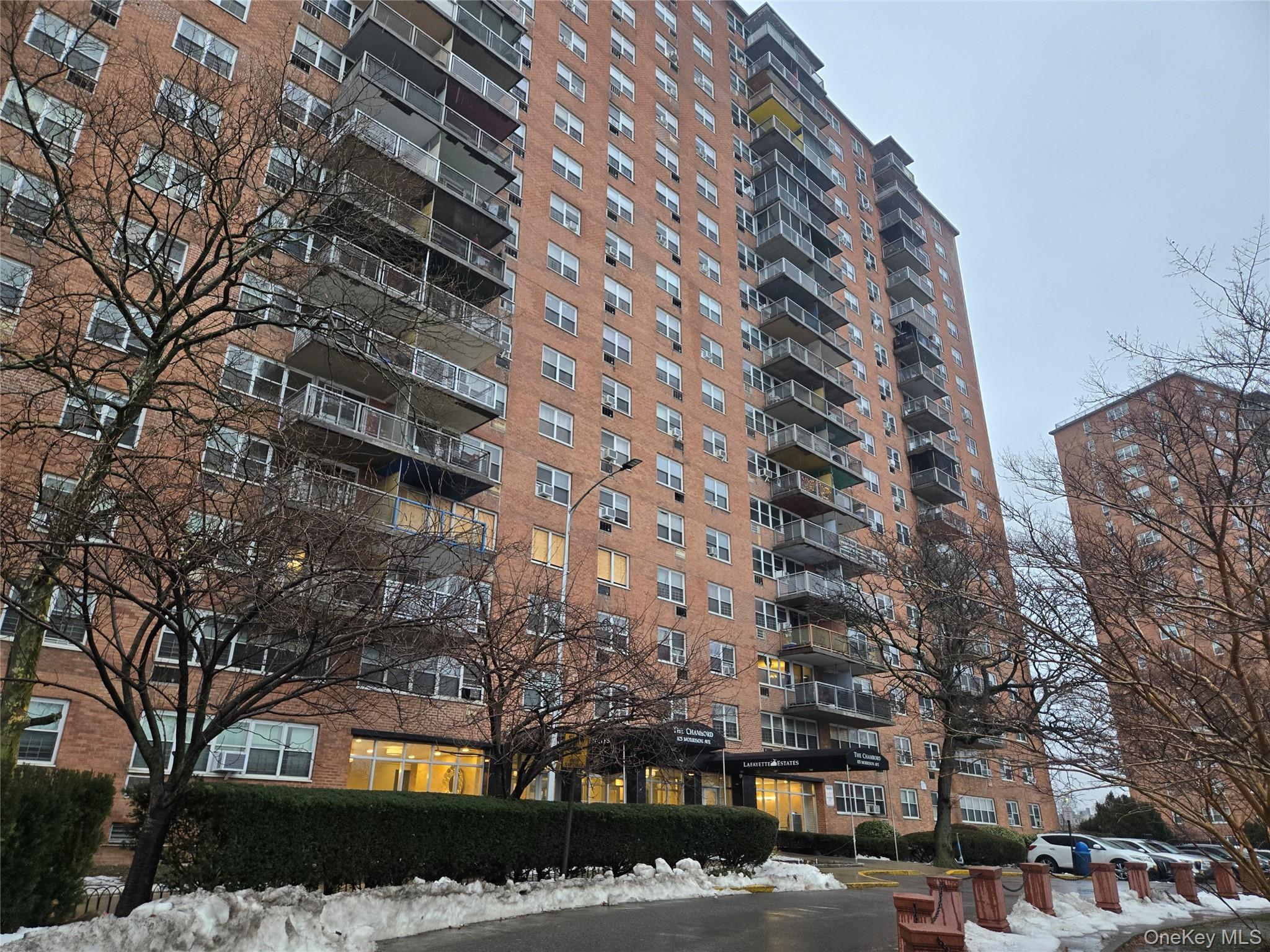 Coop Morrison  Bronx, NY 10473, MLS-964147-15