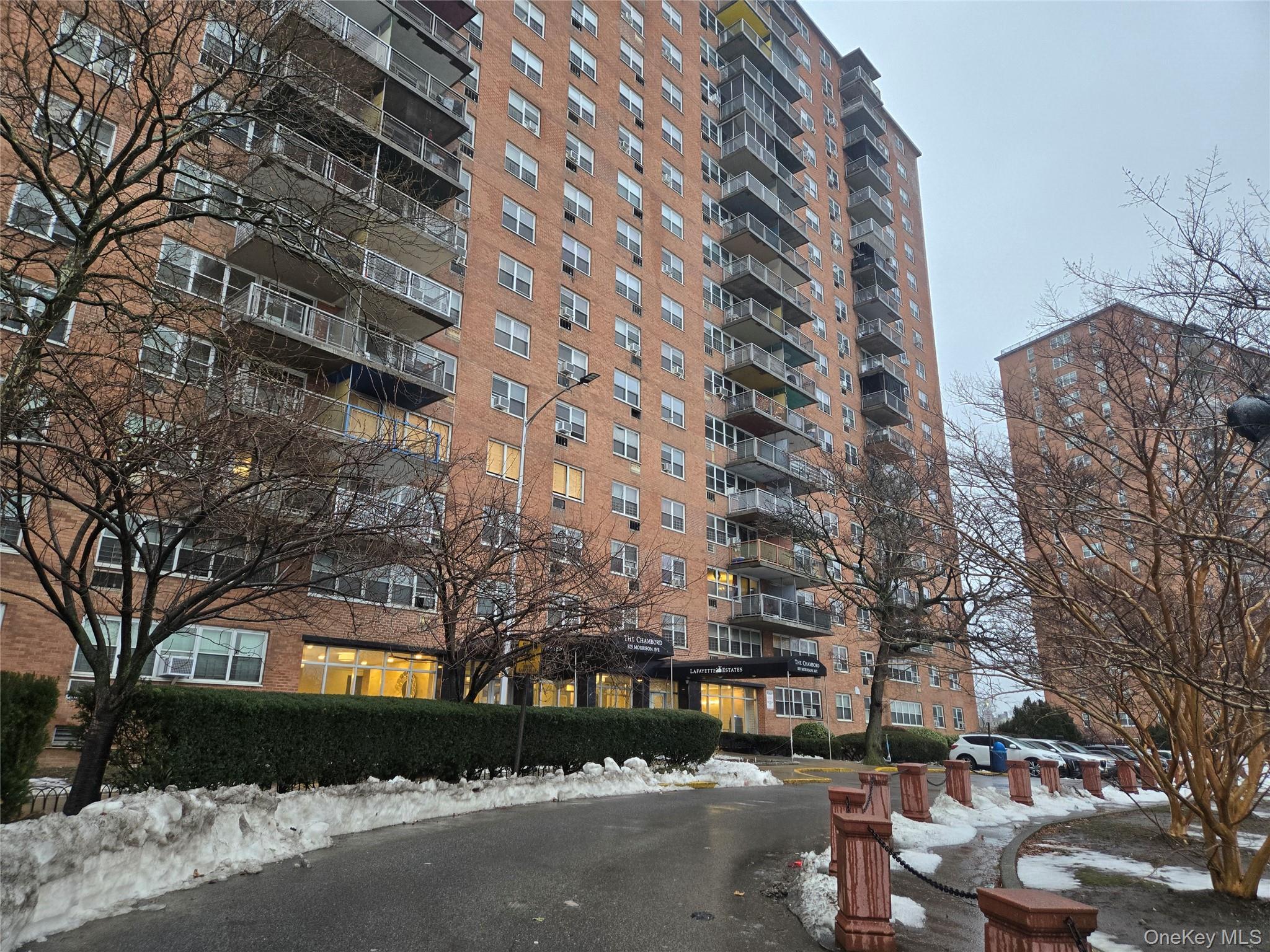 Coop Morrison  Bronx, NY 10473, MLS-964147-16