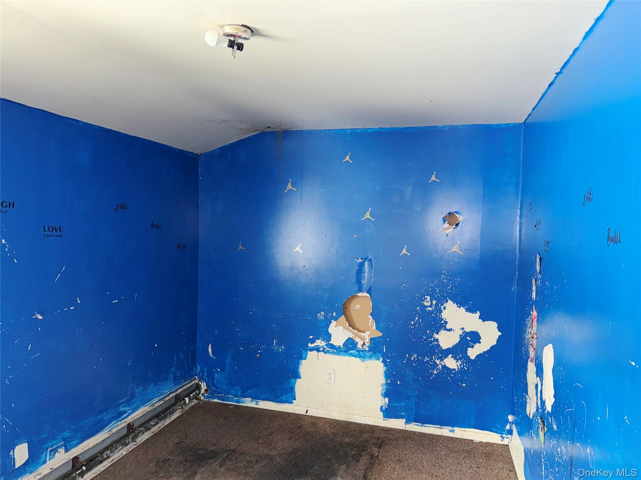 Single Family 110th  Queens, NY 11433, MLS-964151-8