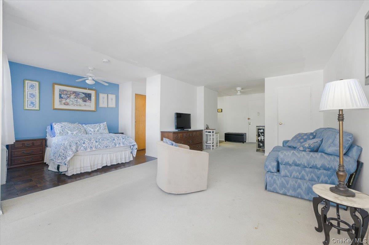 Coop Broadway  Nassau County, NY 11561, MLS-964248-7