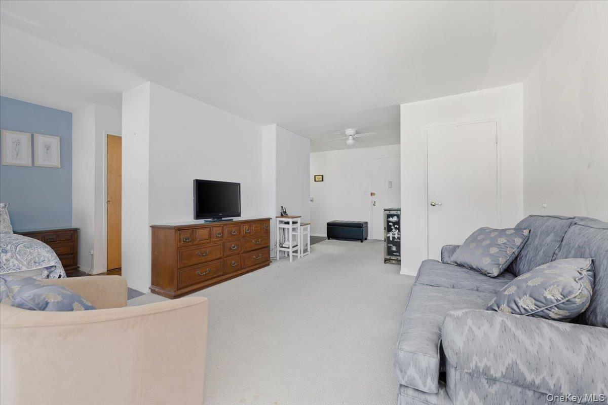 Coop Broadway  Nassau County, NY 11561, MLS-964248-8