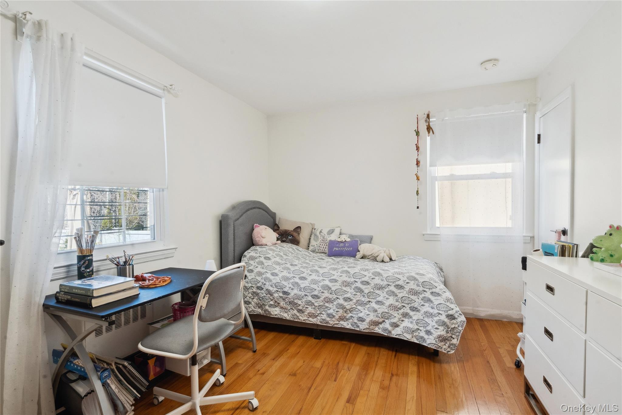 Single Family Bell  Queens, NY 11360, MLS-964275-8