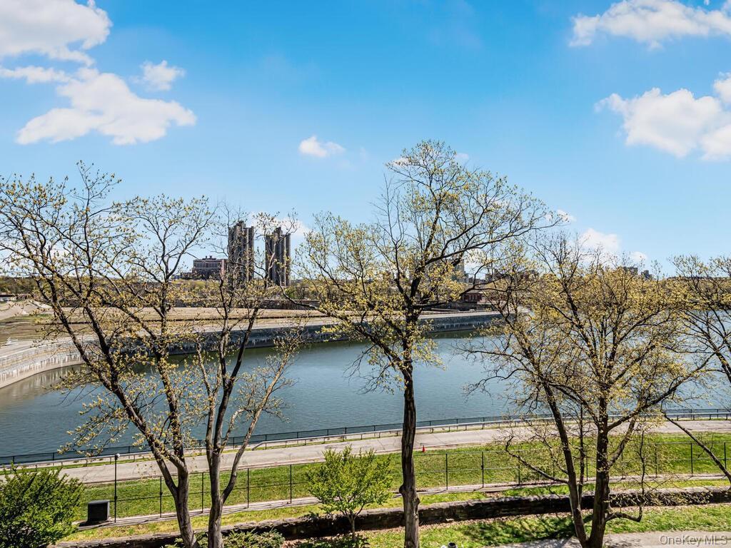 Coop Sedgwick  Bronx, NY 10463, MLS-964373-12