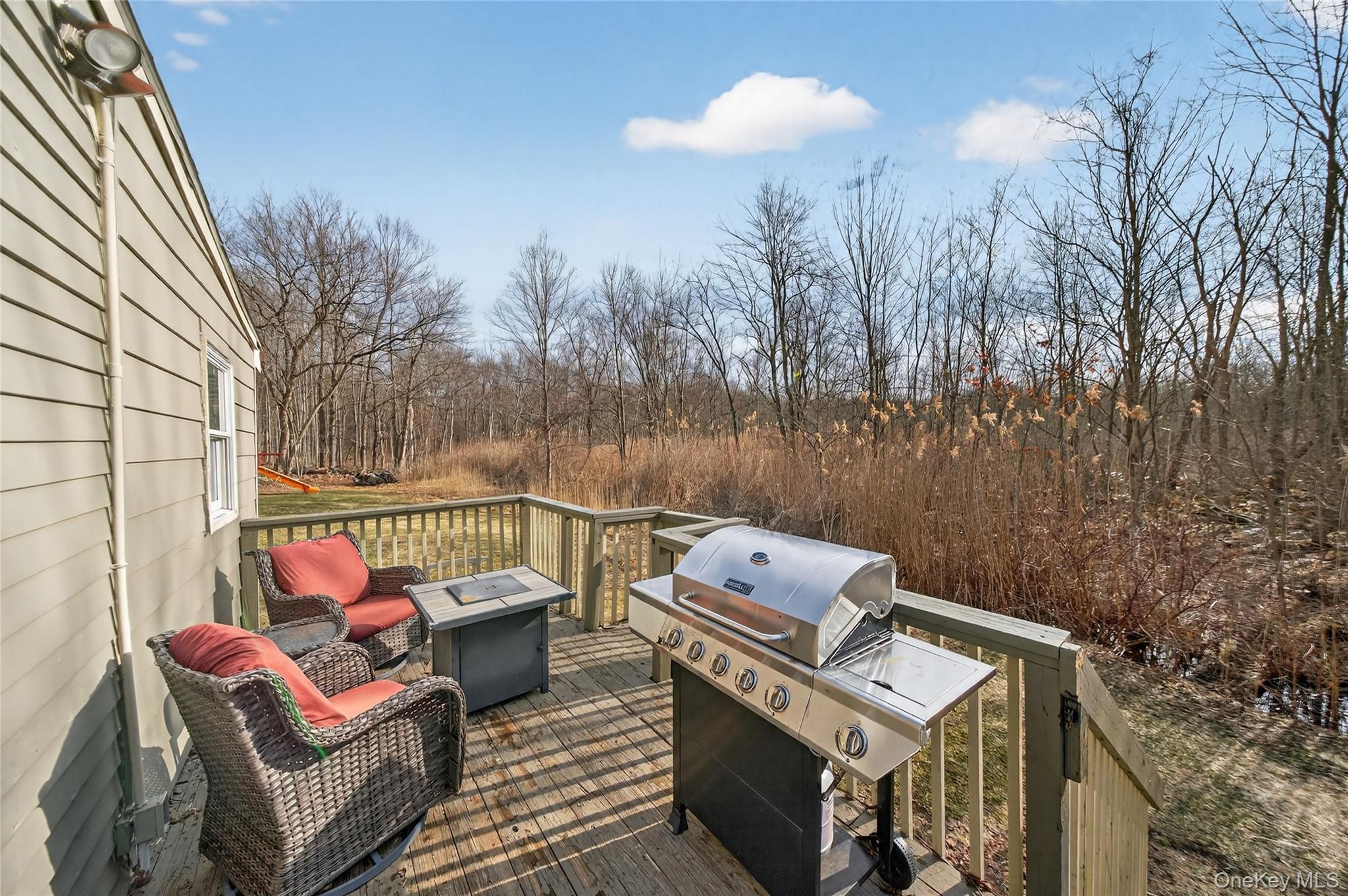 Single Family Plattekill Ardonia Ulster County, NY 12589, MLS-964385-39