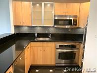 Condo Richmond  Nassau County, NY 11561, MLS-964414-13