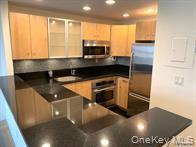 Condo Richmond  Nassau County, NY 11561, MLS-964414-4