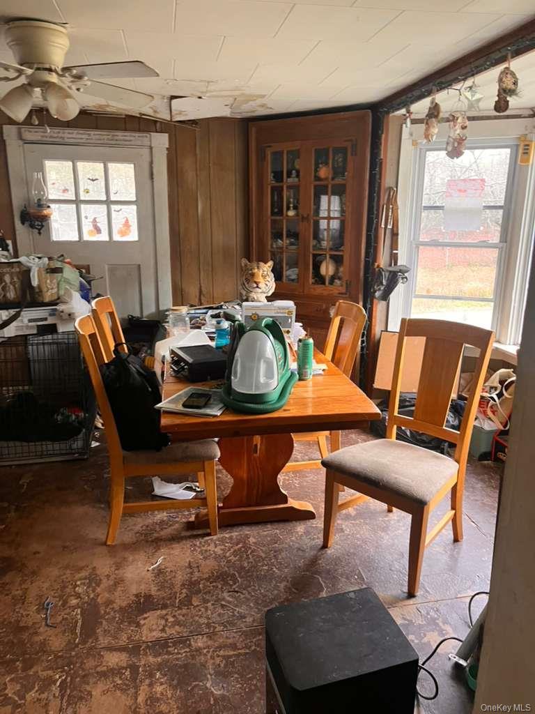 Single Family 4 Greene County, NY 12468, MLS-964474-11