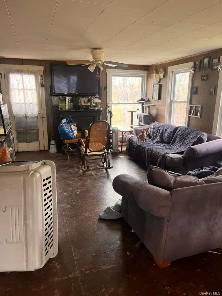 Single Family 4 Greene County, NY 12468, MLS-964474-7