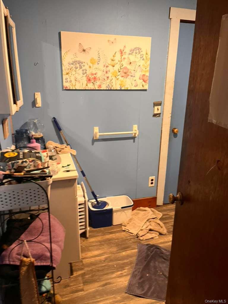 Single Family 4 Greene County, NY 12468, MLS-964474-9