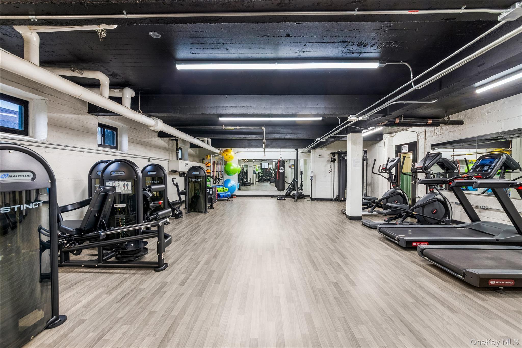 Coop Knapp  Brooklyn, NY 11229, MLS-964567-10