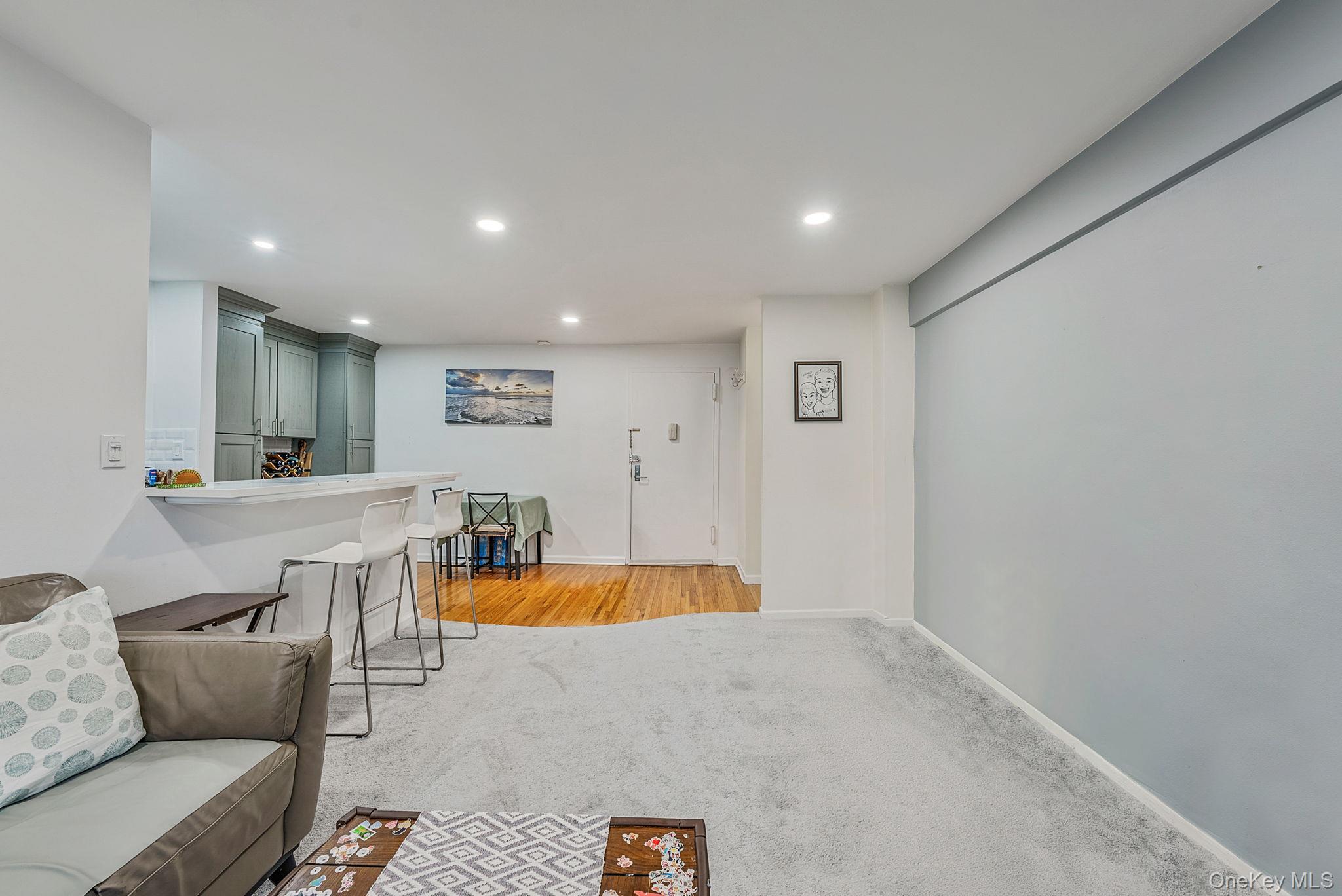 Coop Park  Nassau County, NY 11021, MLS-964617-5