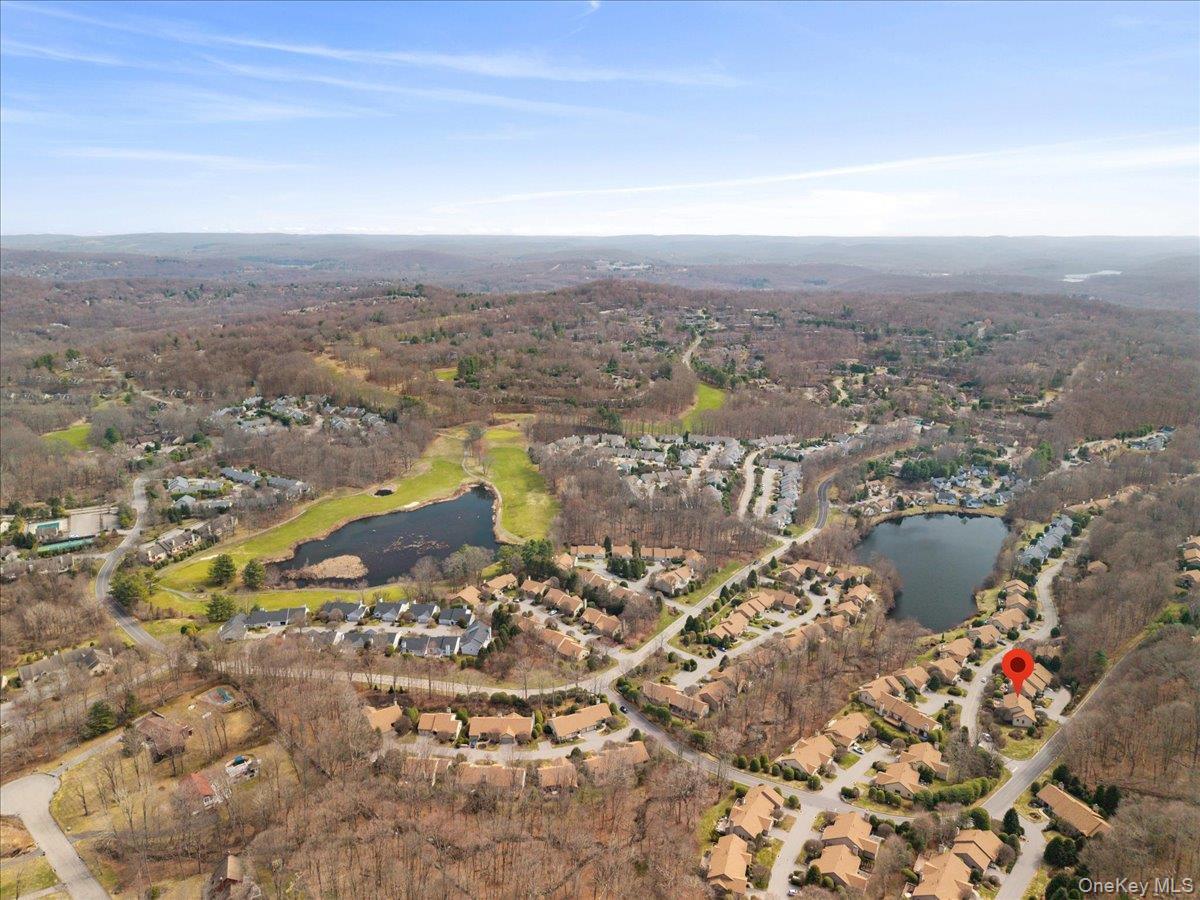 Condo Heritage  Westchester County, NY 10589, MLS-964728-40