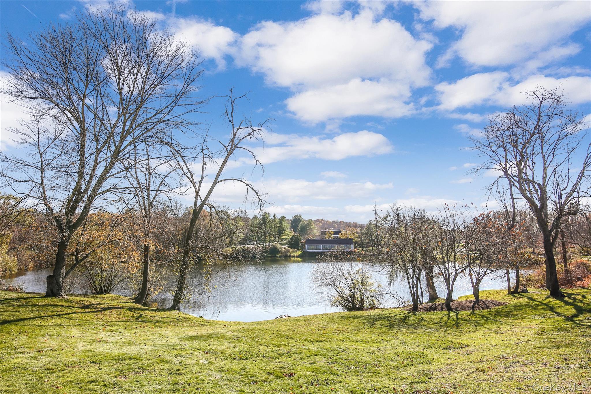 Condo Heritage  Westchester County, NY 10589, MLS-964728-49