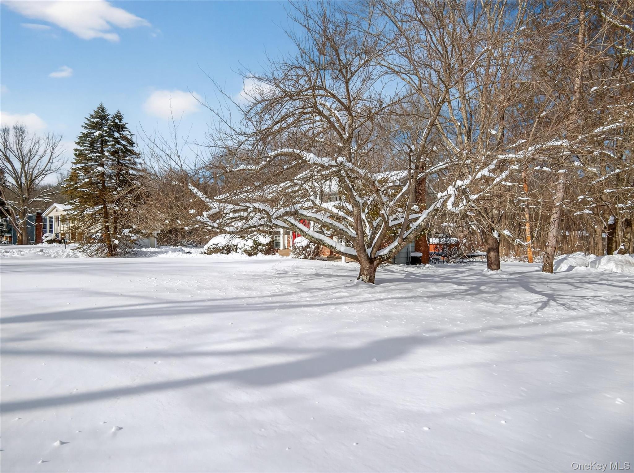 Single Family Mayer  Rockland County, NY 10901, MLS-964920-3