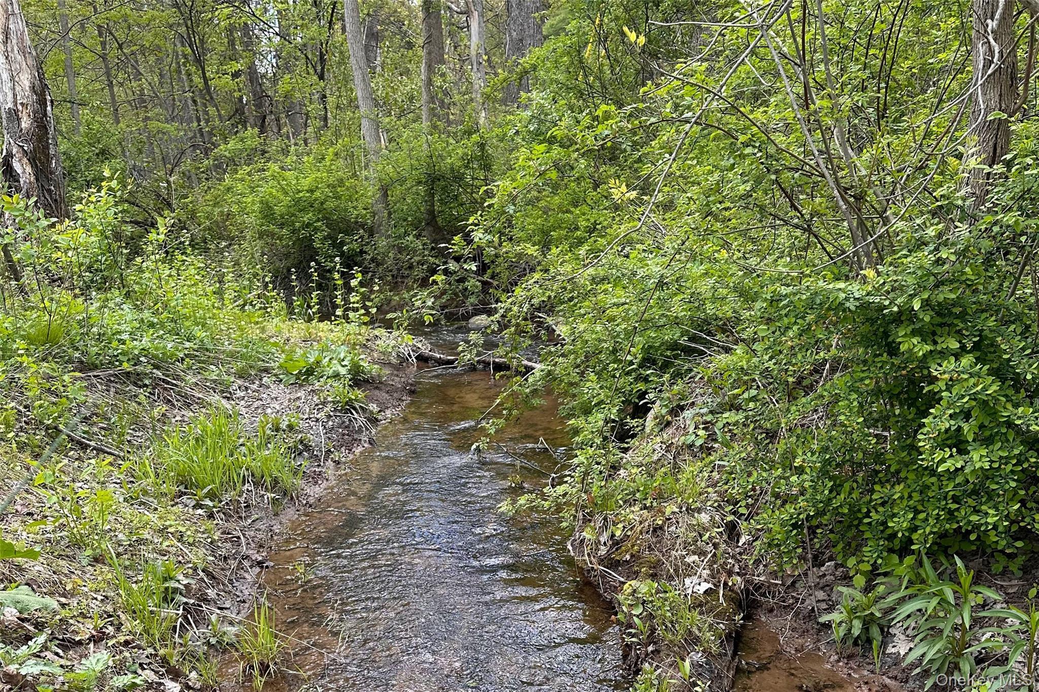 Single Family George Sickle Road  Ulster County, NY 12477, MLS-964940-31