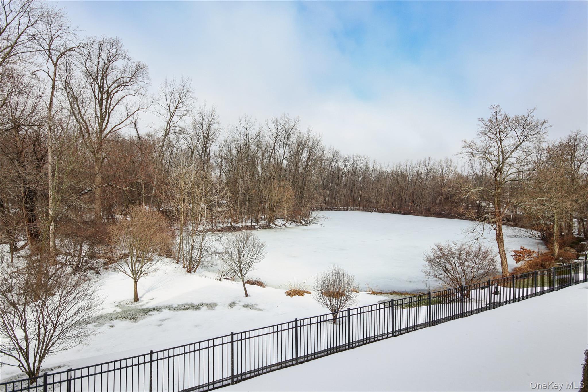 Single Family Regency  Dutchess County, NY 12524, MLS-964999-24