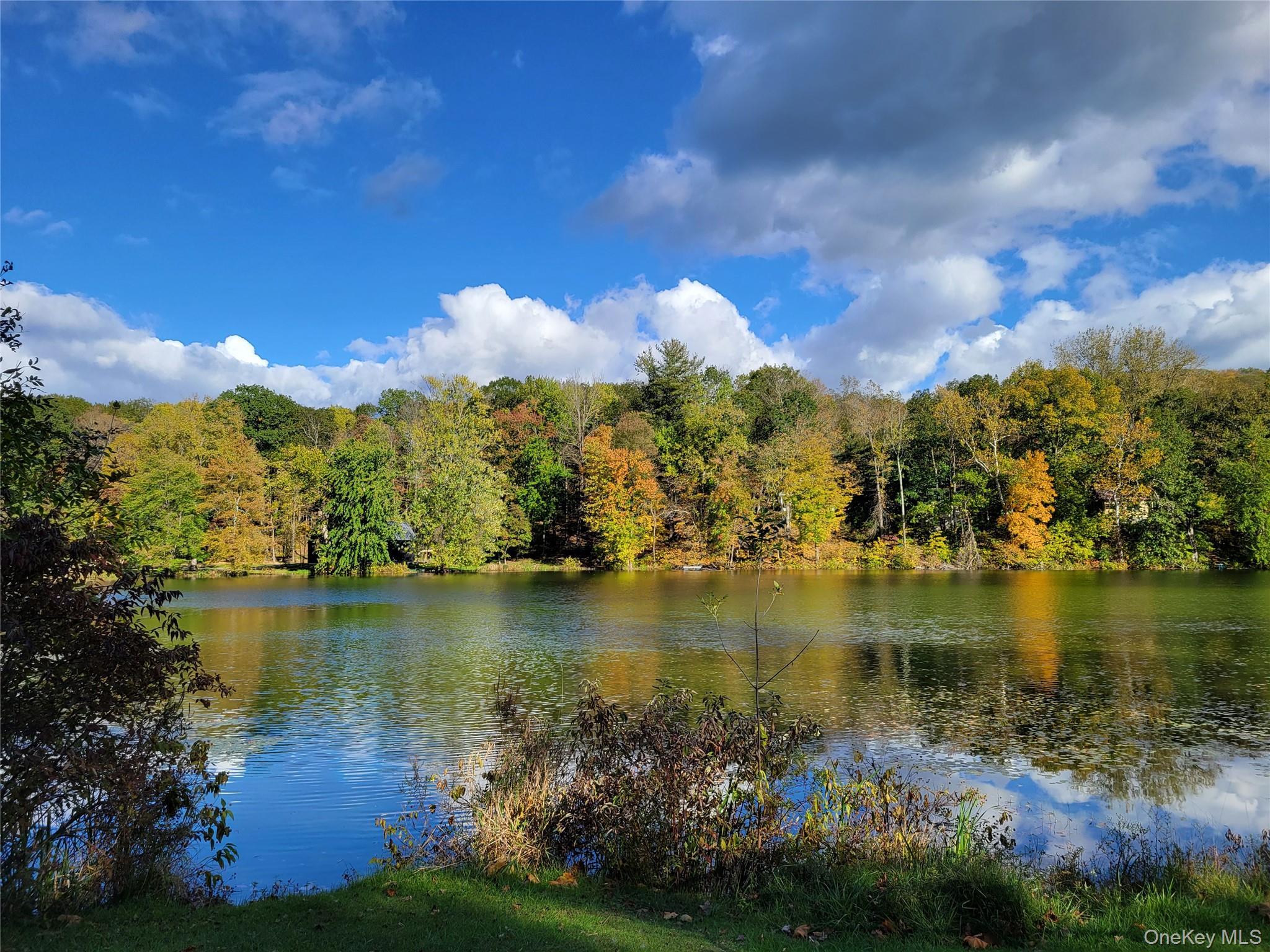 Single Family Spring Lake  Dutchess County, NY 12571, MLS-965018-29