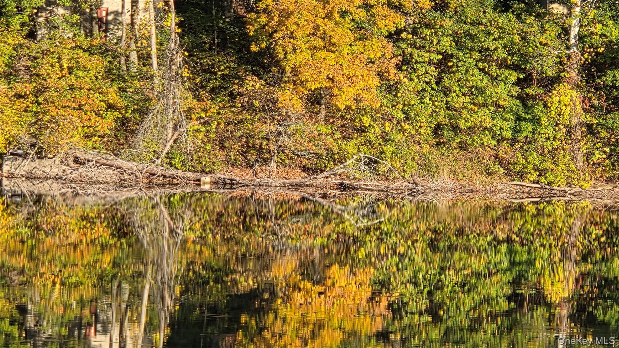 Single Family Spring Lake  Dutchess County, NY 12571, MLS-965018-30