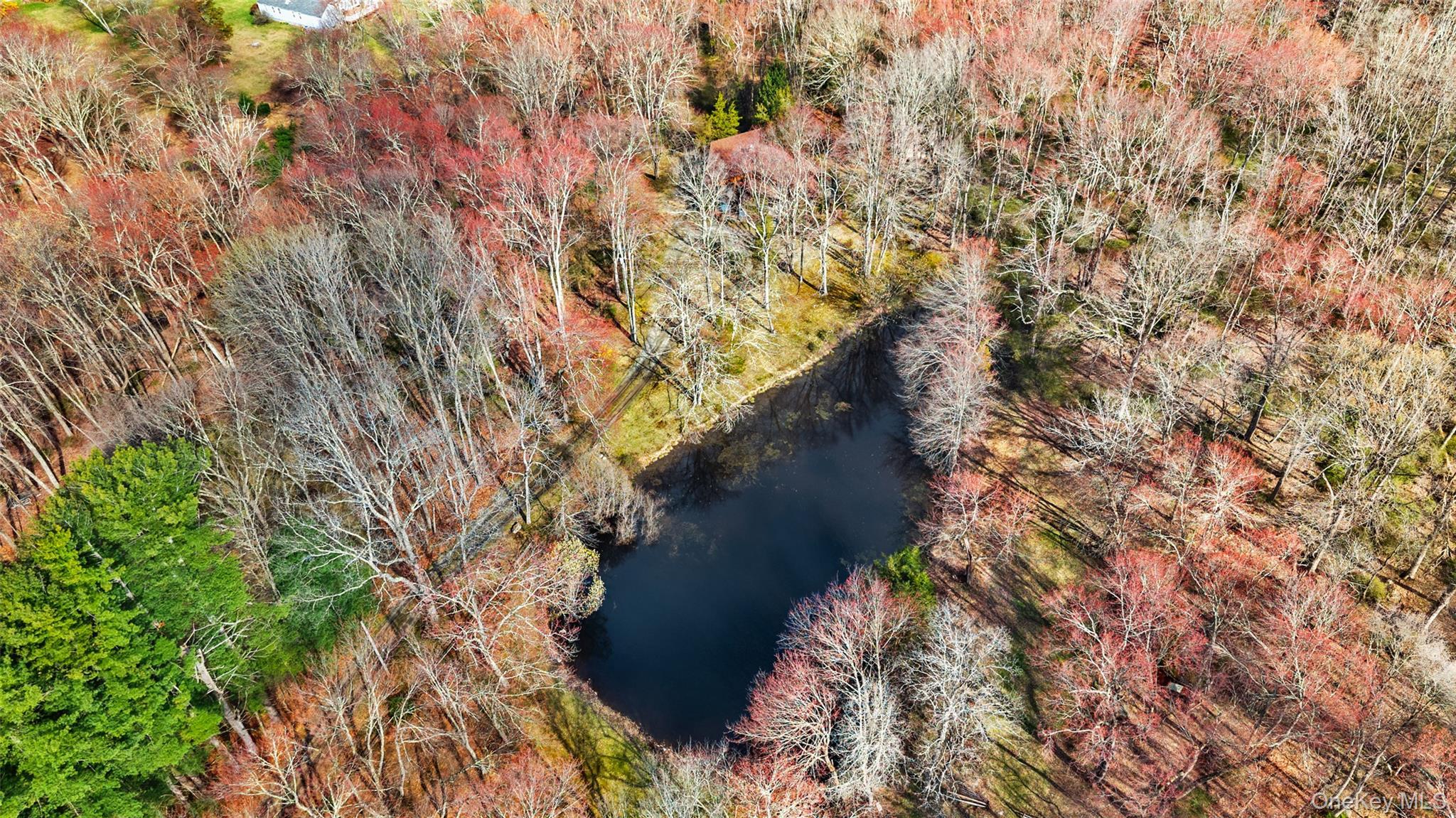 Single Family Cross Pond  Westchester County, NY 10576, MLS-965241-23