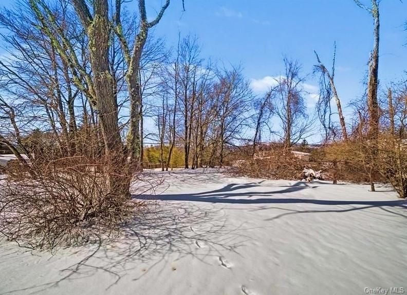 Single Family Maple  Orange County, NY 10950, MLS-965315-20