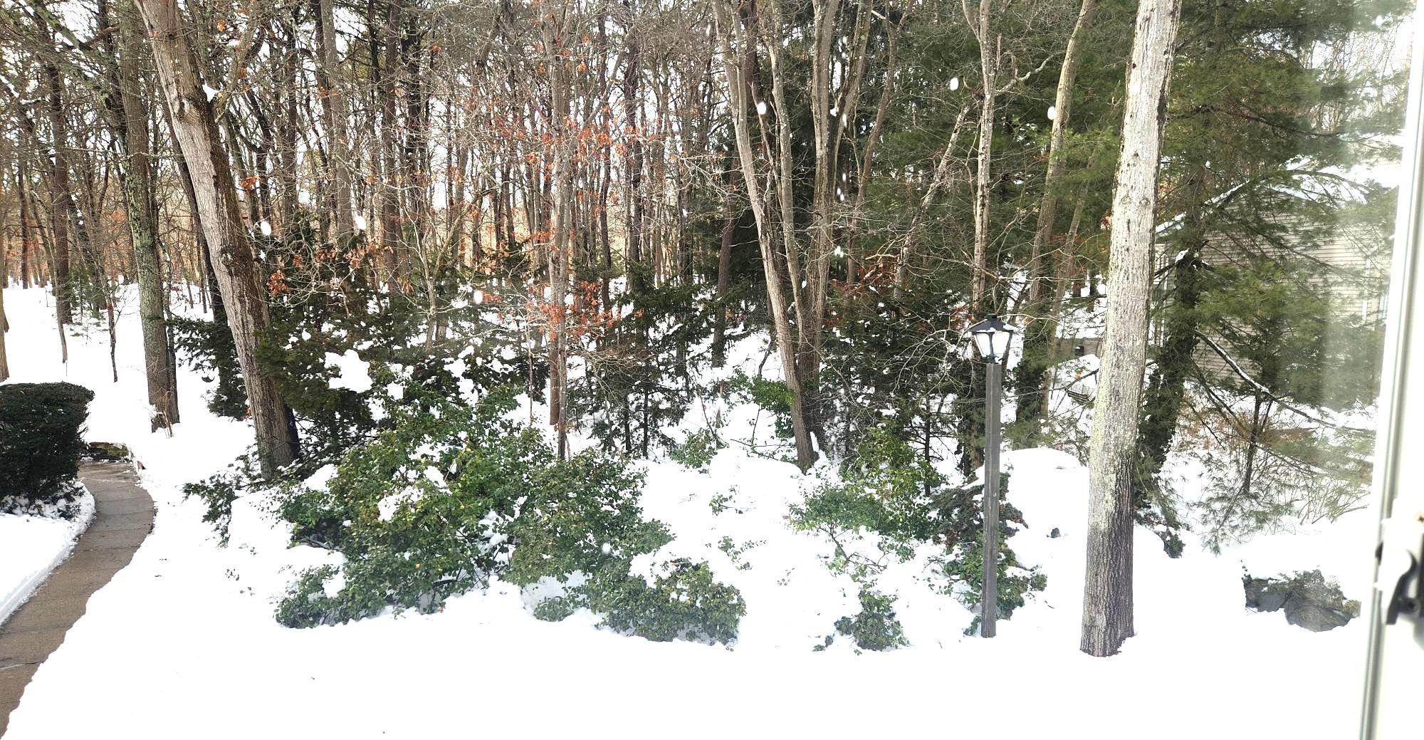 Condo Springmeadow  Suffolk County, NY 11741, MLS-965323-14