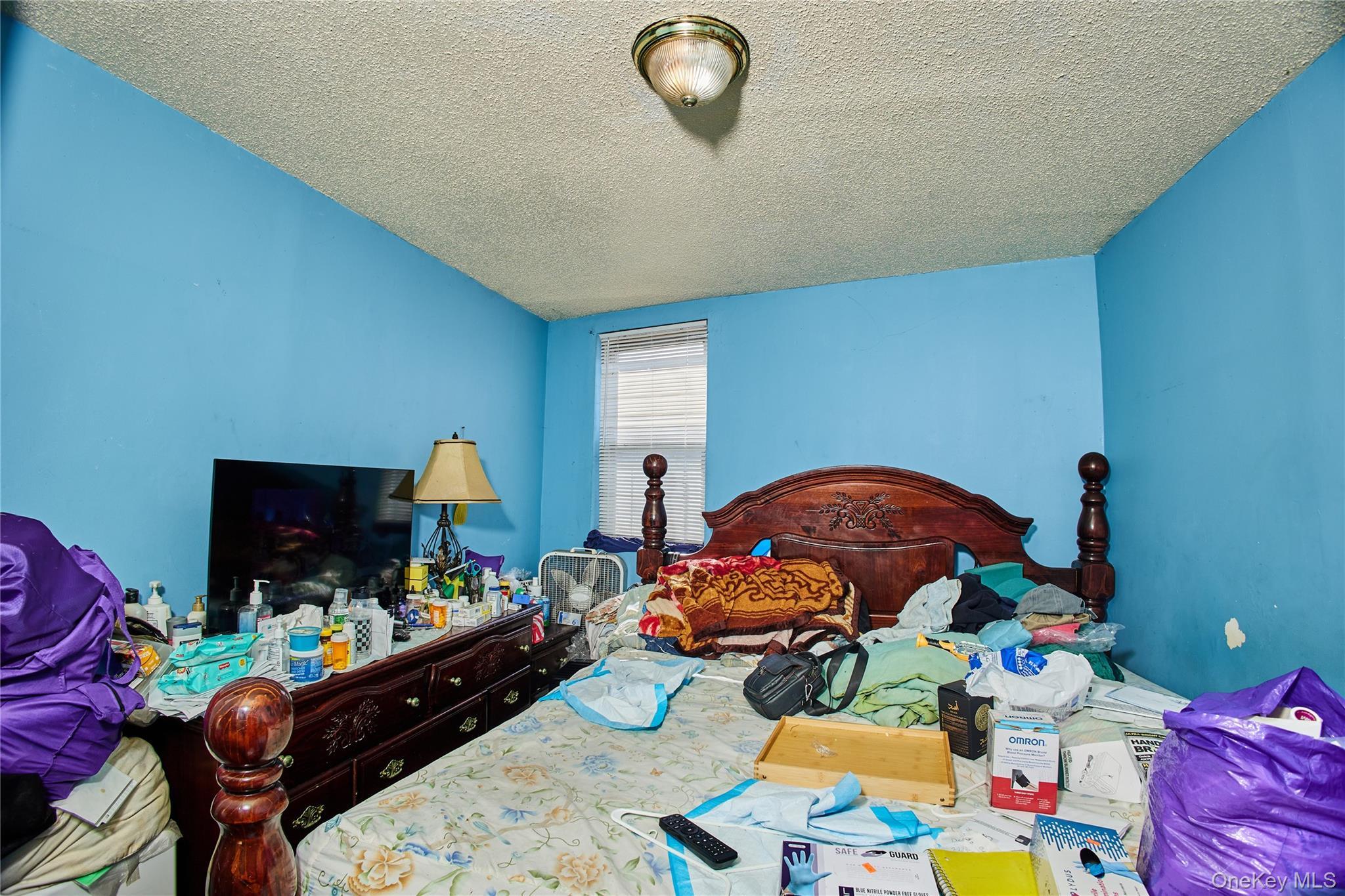 Single Family Nellis  Queens, NY 11413, MLS-965345-15