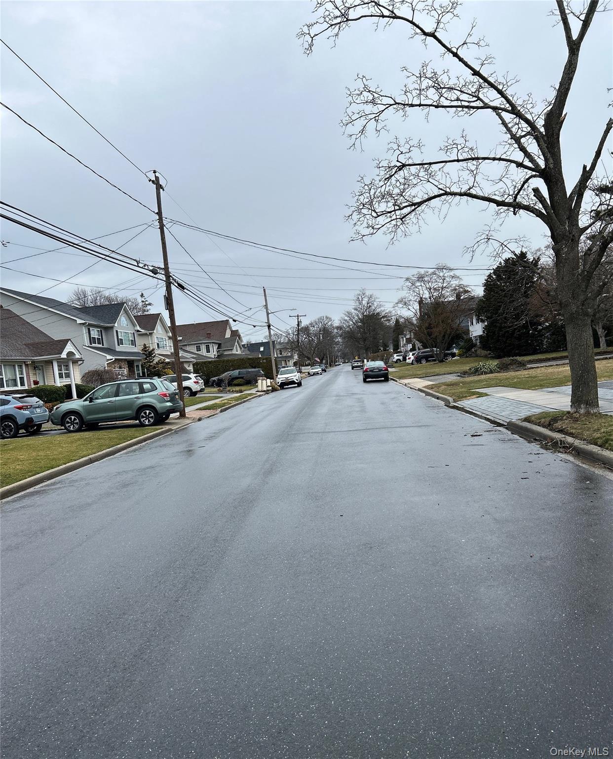 Single Family Richard Avenue  Nassau County, NY 11566, MLS-965407-4