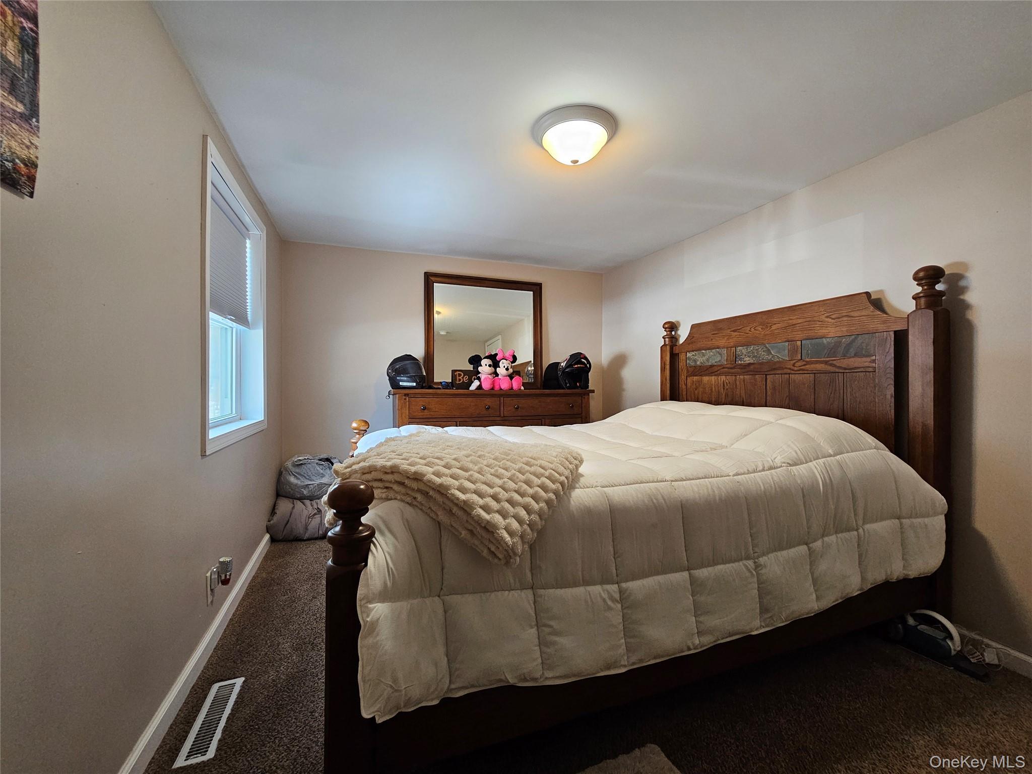 Single Family Mary Sullivan County, NY 12721, MLS-965544-19