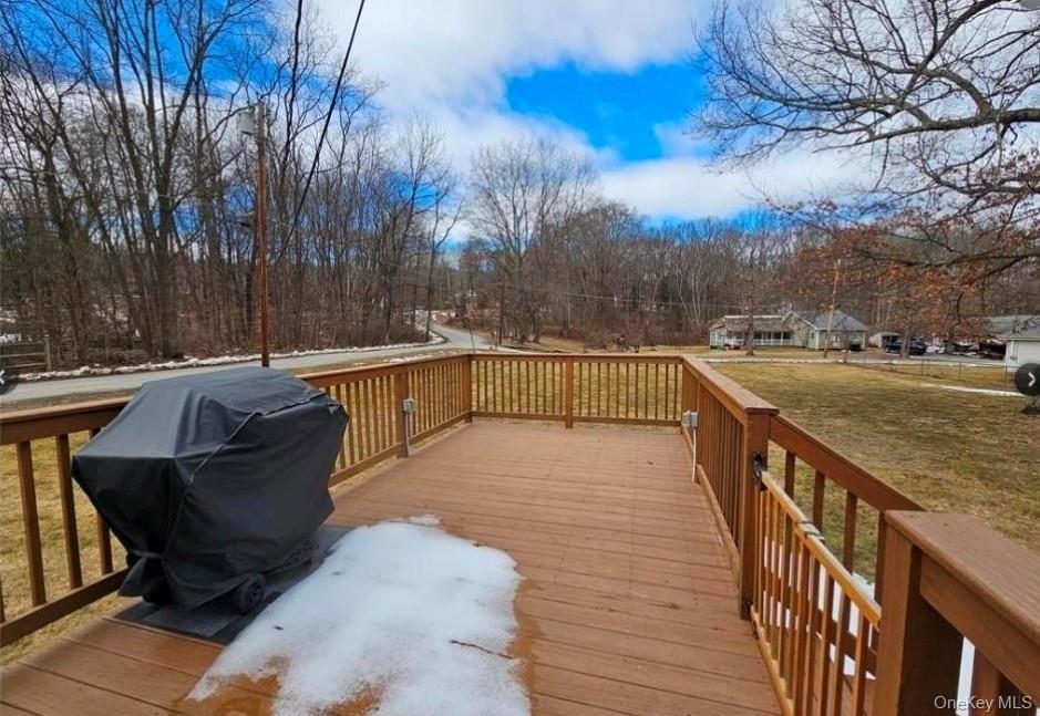 Single Family Mary Sullivan County, NY 12721, MLS-965544-25