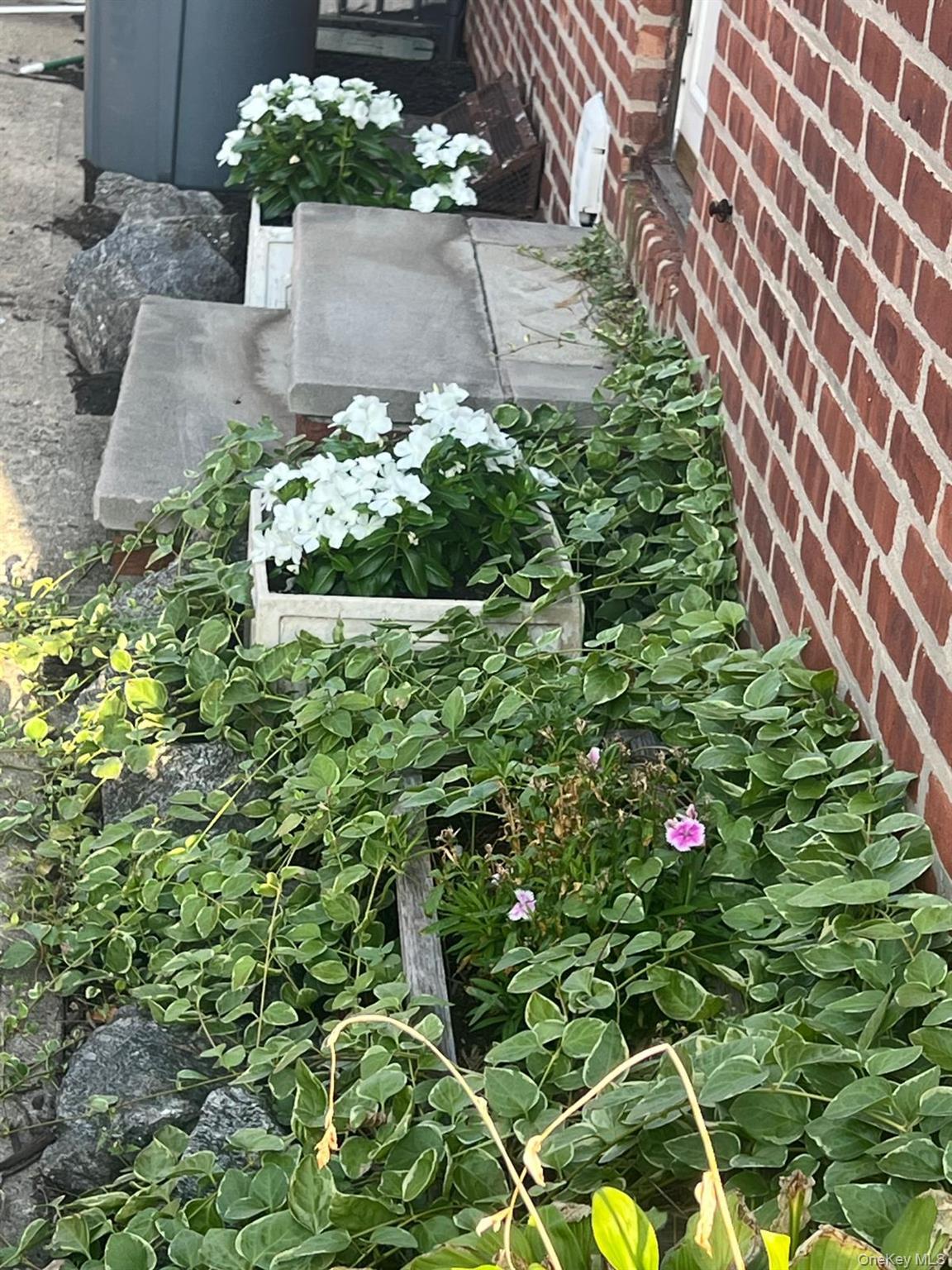 Single Family Van Wyck  Queens, NY 11436, MLS-965571-12