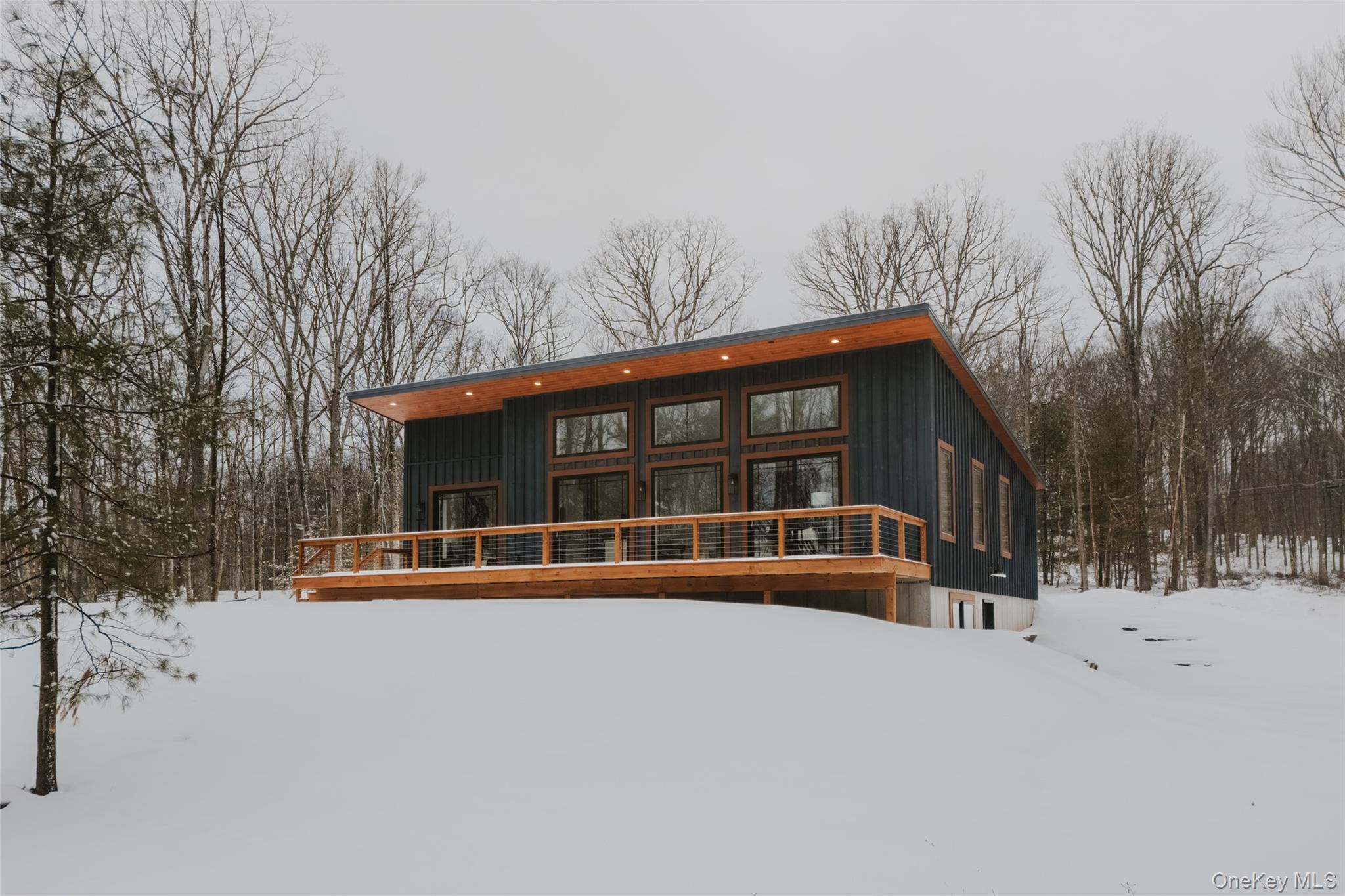 Single Family Country  Sullivan County, NY 12723, MLS-965578-3