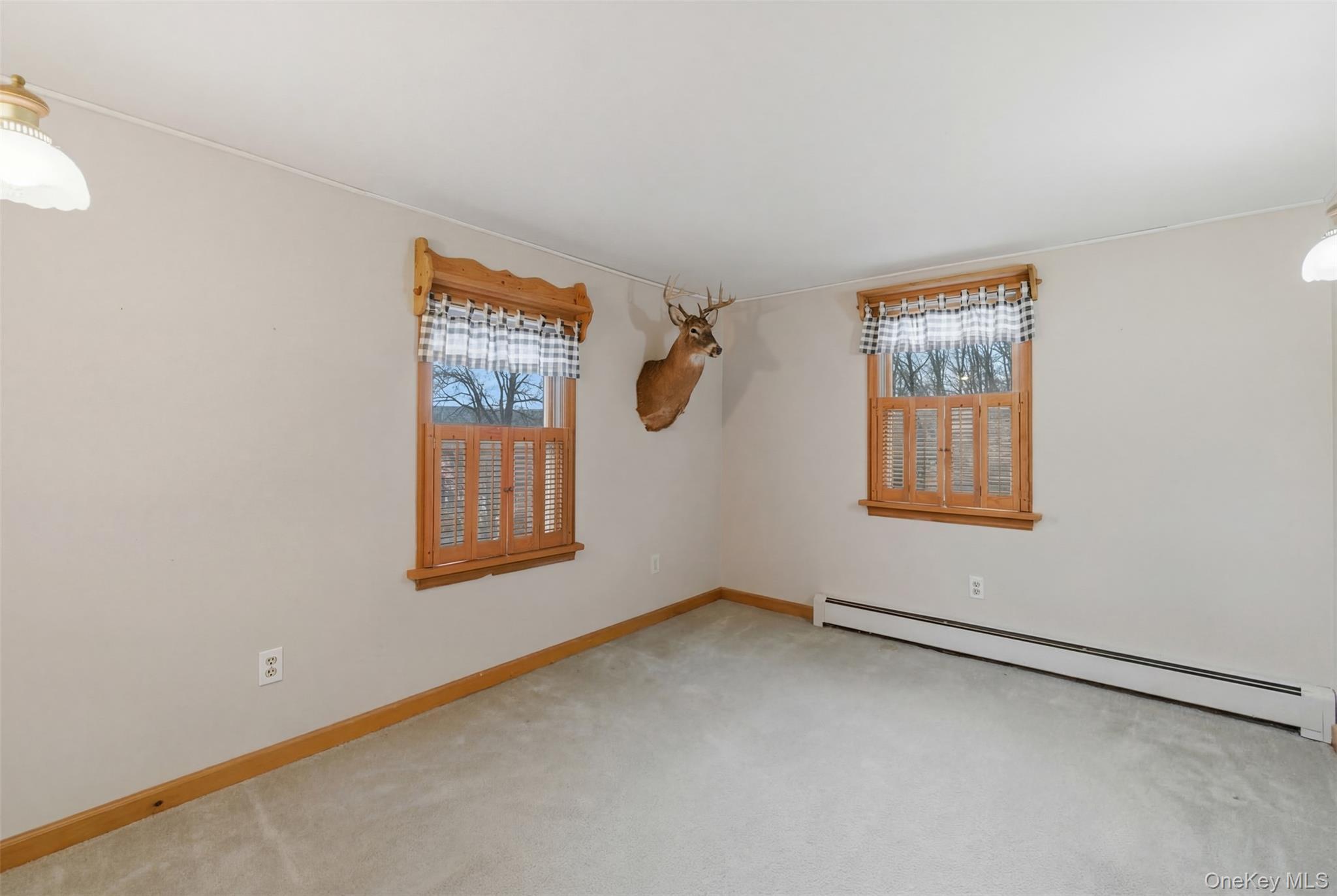 Single Family Myrtle  Orange County, NY 12771, MLS-965584-25