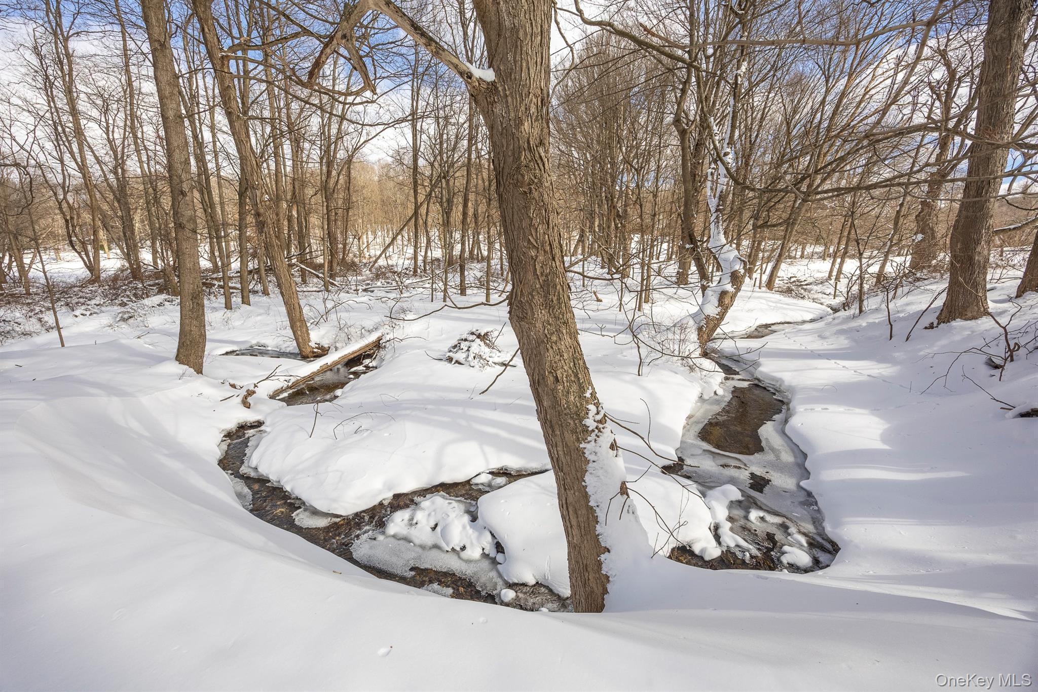 Single Family Layton  Dutchess County, NY 12581, MLS-965600-24