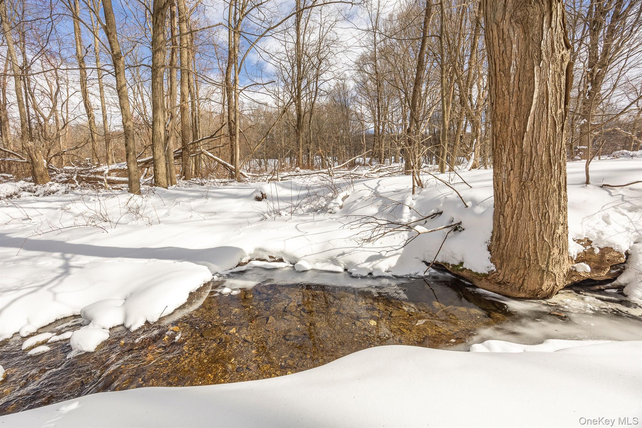 Single Family Layton  Dutchess County, NY 12581, MLS-965600-25